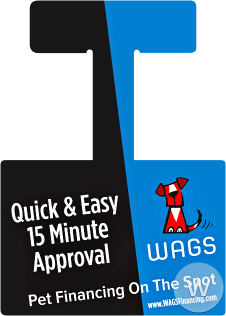Shelf Wobbler Printed from 5.5 x 3.75 Free Shelf Wobbler Template